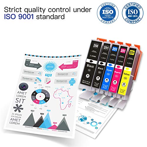 Arthur Imaging Compatible Ink Cartridge Replacement for Canon Pgi-250Xl