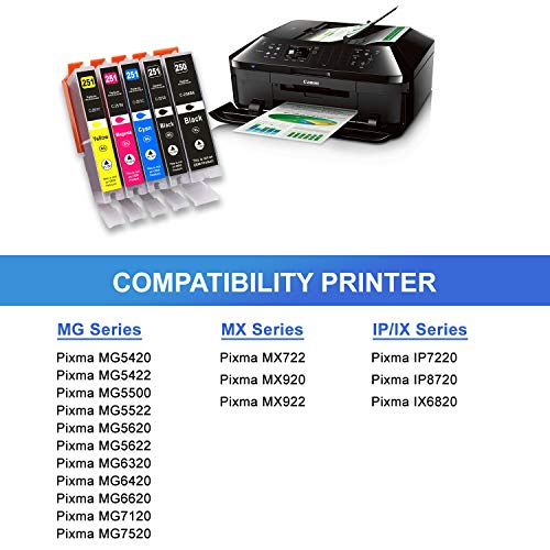 Arthur Imaging Compatible Ink Cartridge Replacement for Canon Pgi-250Xl