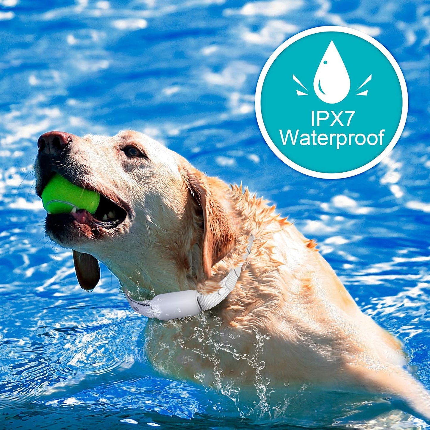 Bousnic Shock Collar for Dogs - Waterproof Rechargeable Dog Electric Training...