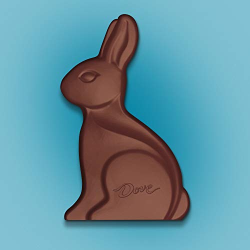 DOVE Milk Chocolate Solid Easter Bunny, 4.5 Ounce Exp: 10-2020