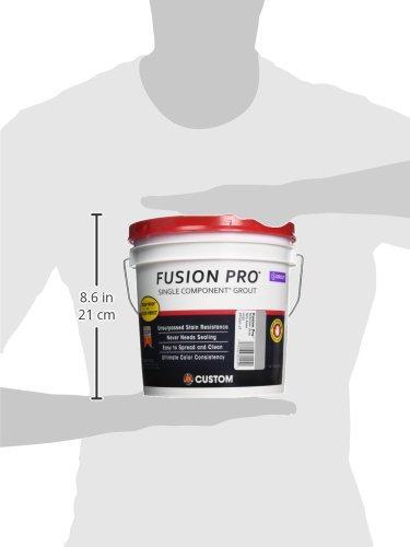 Fusion 221333 FP1651-2T 1G Delorean Gray Fusion Pro Single Component Grout