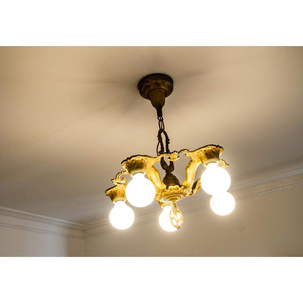 EcoSmart 60W Equivalent Soft White G25 LED Light Bulb Medium Base Frosted Style Filament