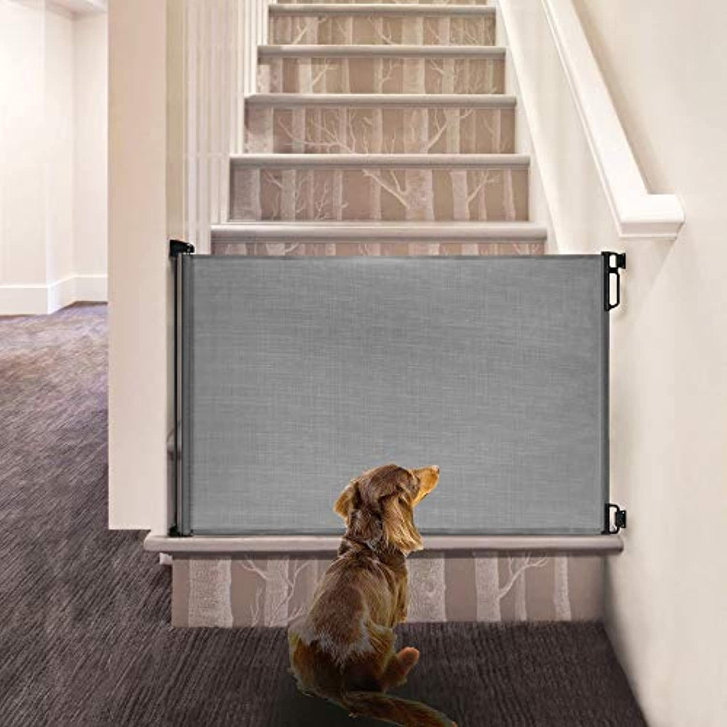 EasyBaby Extra Wide/ Tall Retractable Baby Gate Up to 71" Wide, 39.3" -Grey